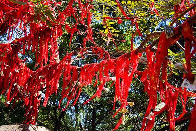 下一站广州！育碧确认参展2025 CICF EXPO